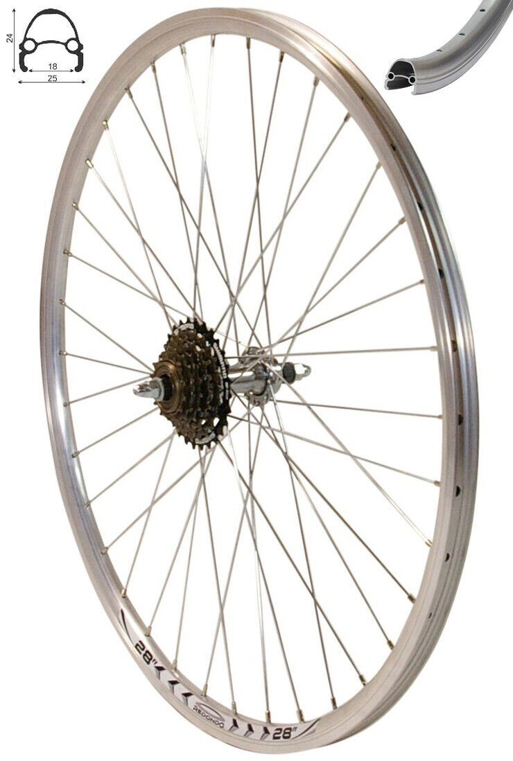 REDONDO 28 Zoll Hinterrad Silber Hohlkammerfelge mit 6-fach Kranz – redondo
